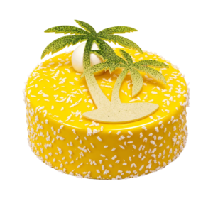 Tort Aruba